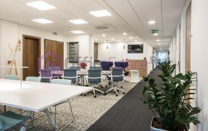 Executive Serviced Office Spaces in Prime Area in Malta